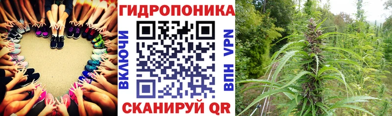 Купить закладку Фурманов Гашиш  MDMA  APVP  Мефедрон  Cocaine 