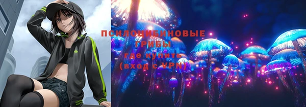 гидропоника Нея