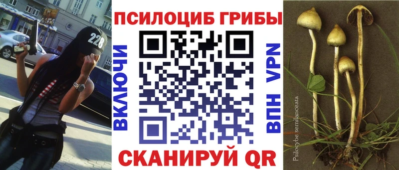 darknet клад  Фурманов  Галлюциногенные грибы ЛСД  цена наркотик 